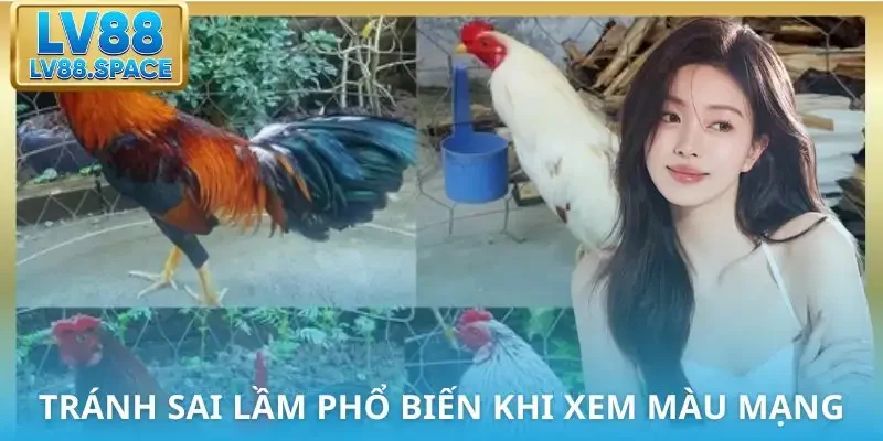 mau-mang-da-ga-luu-y