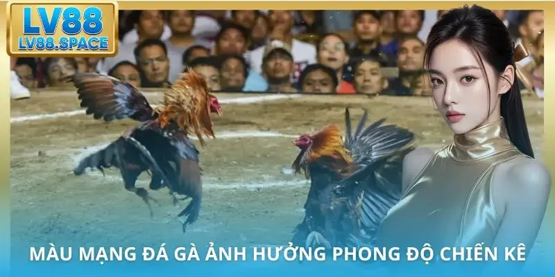 mau-mang-da-ga-ly-do