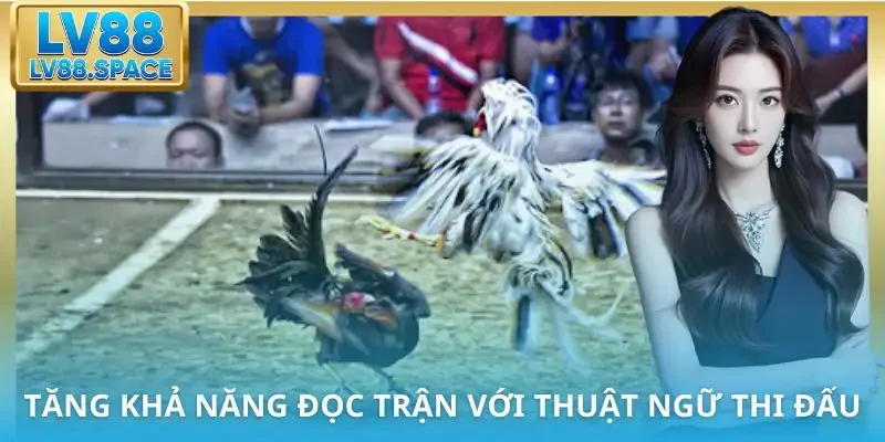 thuat-ngu-da-ga-dung-trong-thi-dau