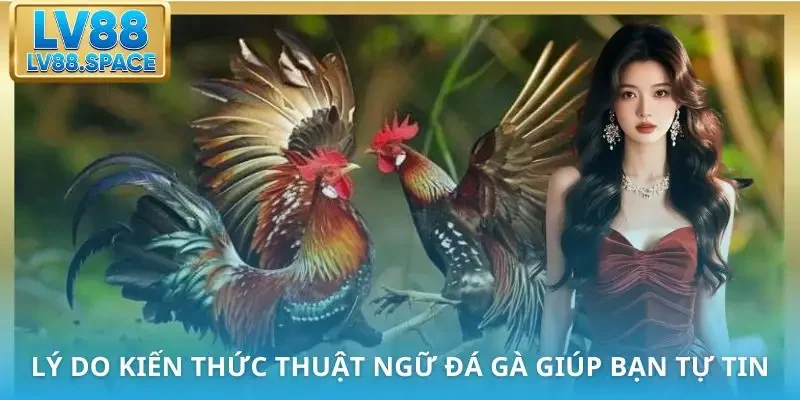 thuat-ngu-da-ga-ly-do
